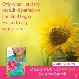 Only when I end my pursuit of perfection can God begin His perfecting work in me. 
